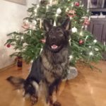 unser Edgar