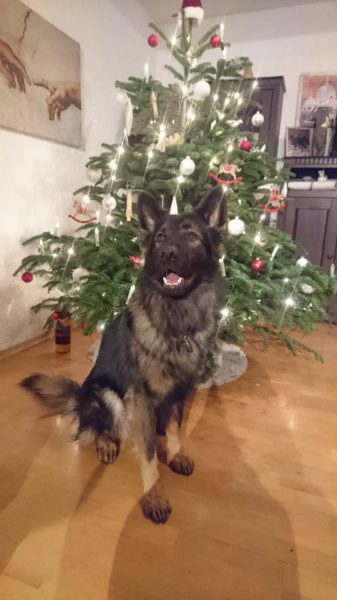 unser Edgar